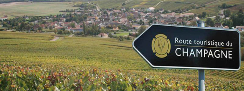 Champagne piccoli produttori e vini liguri | Leone Blu Vini