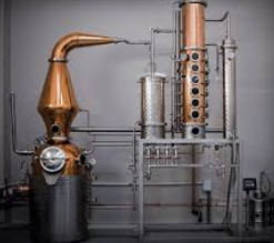 Gin Ligure Artigianale – Botaniche del Mediterraneo e Identità della Riviera